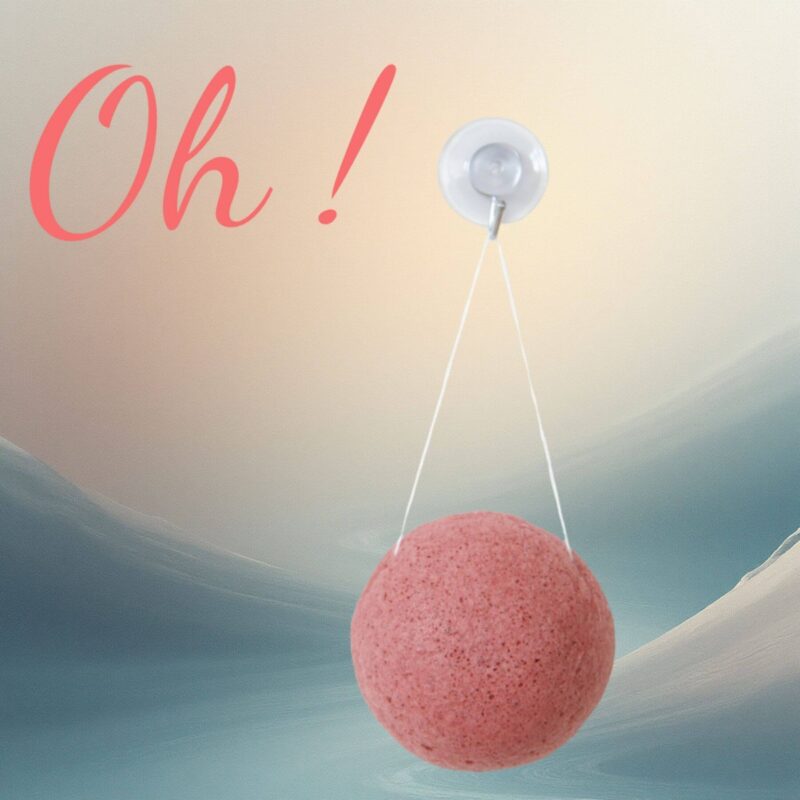 Ventouse à crochet avec éponge konjac