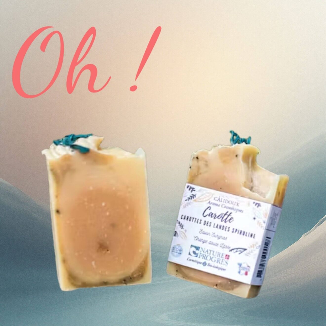 Savon carotte spiruline curcuma naturel – savon éclat du teint