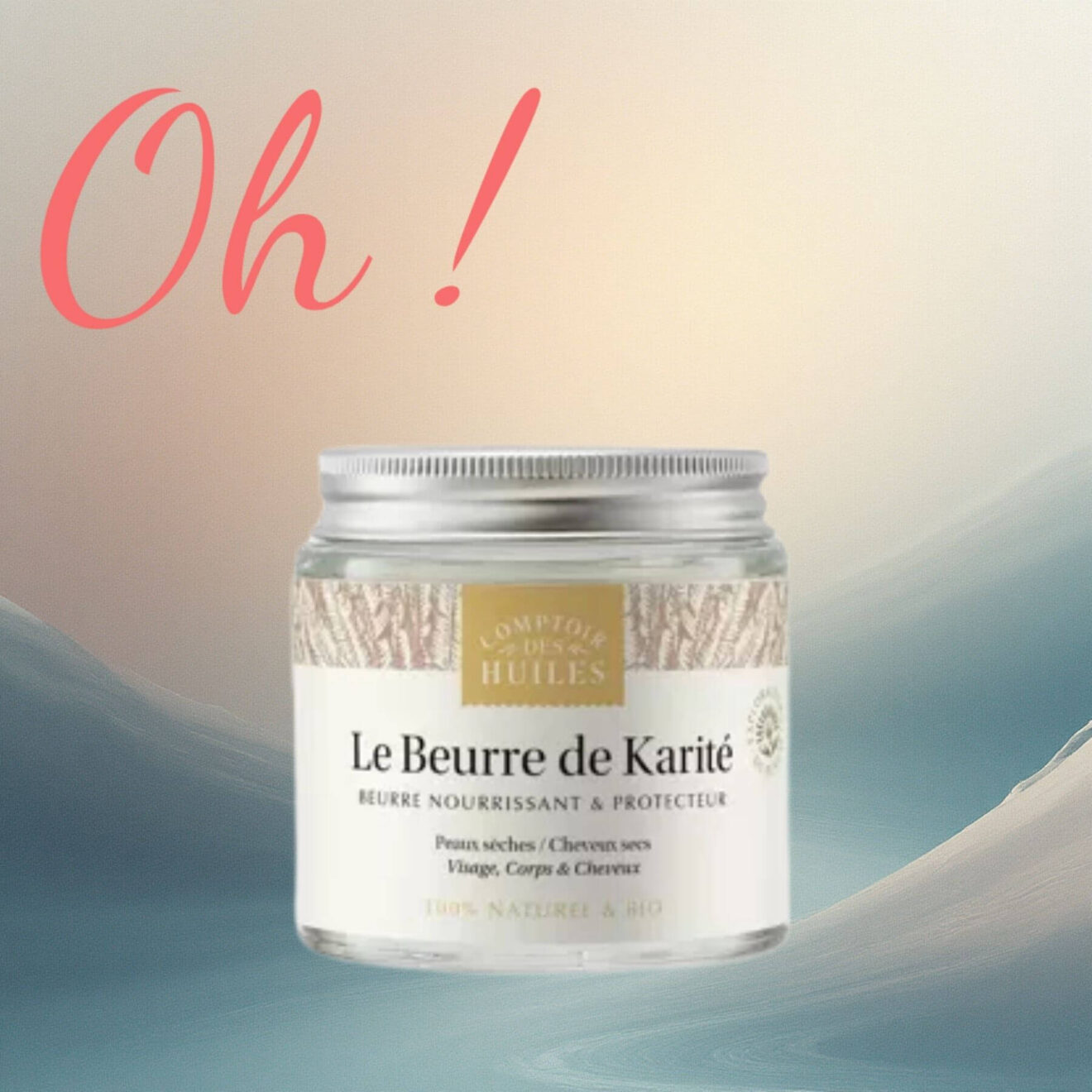 Beurre de karité bio Comptoir des Huiles en pot en verre recyclable – soin naturel multi-usages