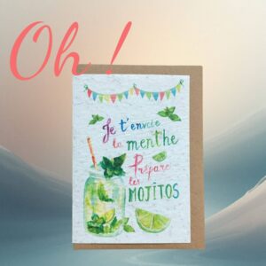 carte à planter mojito graines menthe cadeau original et rigolo
